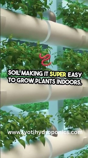 Hydroponic setup at Home | How to Start Hydroponic farming at home | home gardening | gardening.