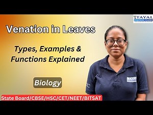 Venation in Leaves | Types, Examples & Functions Explained | Morphology of Flowering Plants