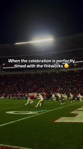 Perfectly Timed Fireworks Celebration Highlights