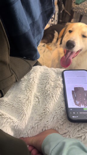AGSU set up is also dog business #dogsoftiktok