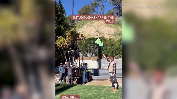 Hilary Duff orders massive new trees to be planted at her home