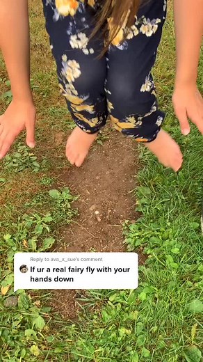 Reply to @ava_x_sue @😉👑#fyp#fairys #foryoupage #fairy