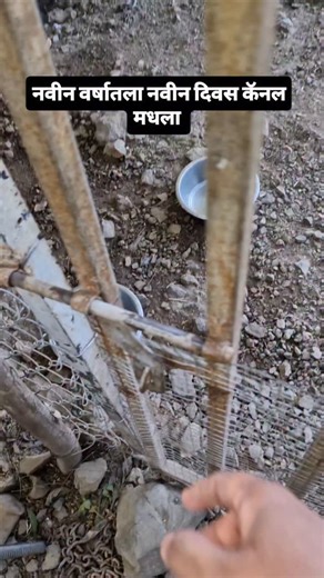 Raj Jadhav on Instagram: "डॉग केनेल परळी वैजनाथ"