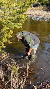 234K views · 2.1K reactions | Beaver trapping projection set Part 3 | Dunlap LURES | Facebook