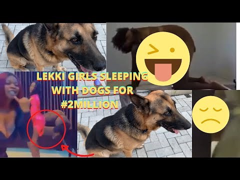 Leaked Full Video Of Lekki Girls Sleeping With Dogs For #2 Million Naira In Lagos Island, Nigeria 😳