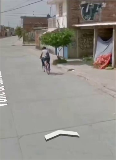 평범한 거리를 지나던 구글 스트리트 뷰 카메라가 우연히 잡아낸 기적 같은 한 순간.