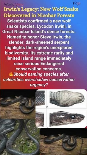 Irwin's Legacy: New Wolf Snake Discovered in Nicobar Forests