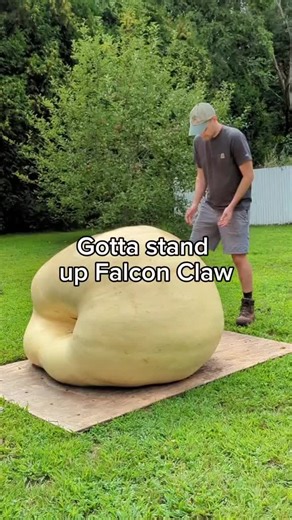 50 Giant Pumpkins That Didn't Go as Planned