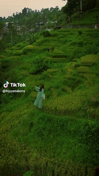 Exploring Green Vibes: Nature's Aesthetic Palette