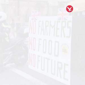 5.7K views · 65 reactions | Over 100 tractors bring Westminster to standstill as farmers demand British food security | The Independent | Facebook