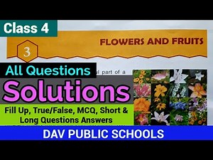 DAV class 4 Science Chapter 3 - Solutions || Questions Answers - complete