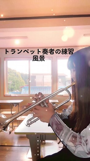 Trumpet Concerto by Neruda - 3rd Movement Performance