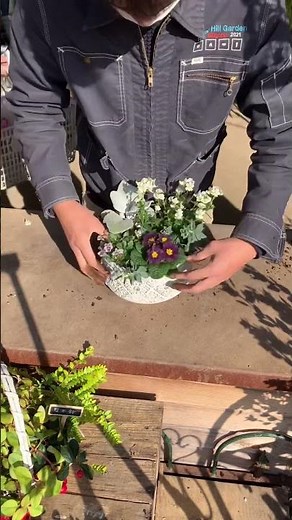 冬の寄せ植えの作り方！