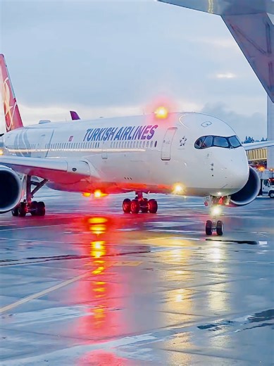 Exploring the Turkish Airline Airbus A350 Features