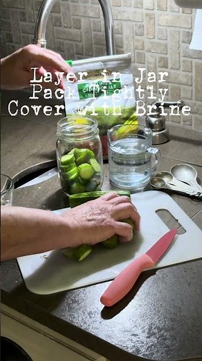 Extra Cucumbers? Instant Pickles🥒