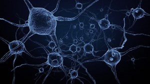 clip-1029830192-3d-animation-present-neuron-systemhuman-brain