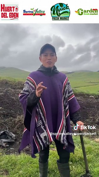 #springvalleyny🇺🇸❤🤩🥰 #springvalleysupermarket #ofertas #ecuador🇪🇨 !Vecino, vecina, ven y visítanos que encontrarás todos los productos para realizar tus comidas tradicionales! 👍❤️ 🇭🇳 🇸🇻 🇪🇨 🇬🇹 🇲🇽 🇨🇴 !!Desde el cuy hasta las habas 🤤 !!Desde la maseca 🫓 hasta el loroco 🤗 Variedad, Frescura y Calidad Ubicación: 210 North Main St - Spring Valley - NY Horario: 07h00am - 12:00am Y recuerda que te esperamos: !HOY, MAÑANA Y SIEMPRE! 😉😊