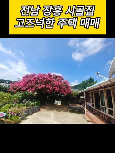 전남 장흥 시골집 매매 고즈넉한 주택 매매 대지 120평, 주택 20평 / 매매 6천만 원 #시골집임대 #시골집월세 #귀농 #귀촌 #전원주택 #전원주택매매 #전원주택월세 #전원주택임대 #촌집 #촌집매매 #촌집임대 #촌집월세 #한옥 #한옥매매 #한옥집 #시골 #시골집 #시골집매매 #시골주택 #시골주택매매 #전남 #장흥
