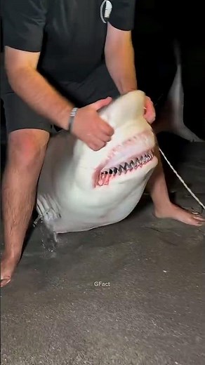 Fish fact ||viral shorts||Fish fact #shorts #shortsfeed