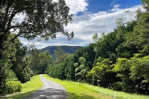 Best Trips to the Country from Brisbane | Must Do Brisbane