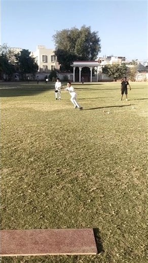 Basic Catching Practice for Beginners | Cricket Training Session #cricketpractice #improveskills #