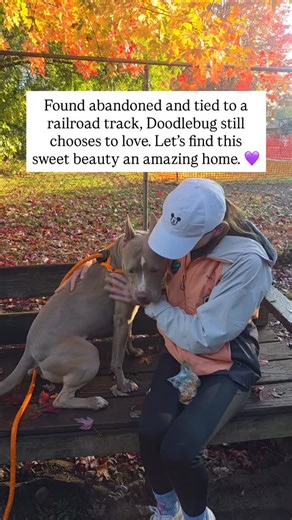1.3K views · 138 reactions |  Meet Doodlebug — the Sweet Survivor...