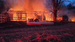 2 dogs killed in Dalton Twp. outbuilding fire