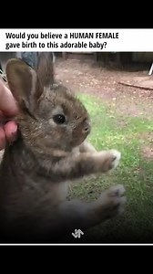 9.4K views · 33 reactions | The human body is seriously incredible | Total Nerd | Facebook