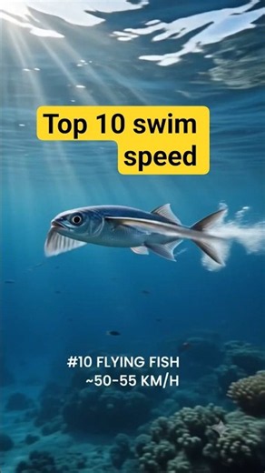 Top 10 Fastest Swimmers in the World 🐟⚡ #1 Is INSANE! 🌊