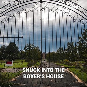 Mike Tyson got a big tip during his time behind bars. Money was no longer invested in cars, the business was in owning exotic animals. The boxer did not hesitate and invested millions in the purchase of baby tigers. Kenya, Storm and Boris were precious, but love could not control their instincts. They could not be tamed and without even wanting to, the felines would destroy the hand that fed them. | Meow Meow