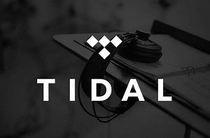 What Are The Advantages And Disadvantages Of Tidal?