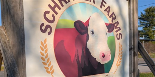 #161 The Thing That Elevates the Chowder