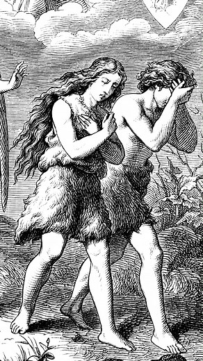 17K views · 117 reactions | Belly buttons are just belly buttons, right? So whats the big deal with Adam and Eve's being such a hot button topic? #Bible #Religion #Anatomy | Grunge.com | Facebook