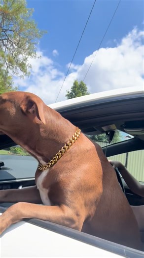 3 comments | This girls the biggest baby  | Jaydon Taylor | Facebook