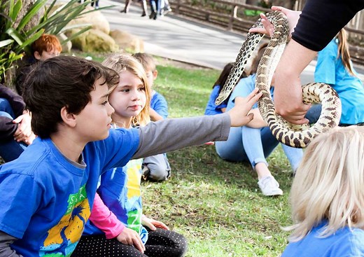 7.4K views · 109 reactions | Happy campers! That's what you'll have when you sign up your kid for Zoo Camp, July 10-Aug. 18, at Santa Barbara Zoo! https://www.sbzoo.org/learn/zoo-camp/ | Santa Barbara Zoo | Facebook