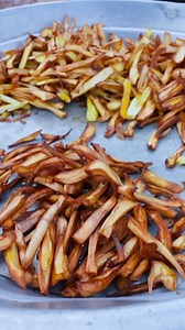 868K views · 7.7K reactions | Big Size jackfruit chips Making video | Village Food Factory | Facebook