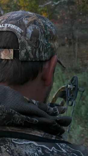 Check out Kevin Knighton of Backwoods Life sling an arrow at this Wisconsin buck! | Tree Stand Buddy