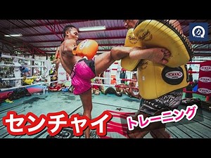 The present of a man called the god of Muay Thai! Saenchai training