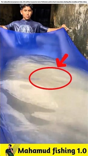What fish did the two friends catch unfairly?🐟#viralvideo #facts #fishinggear #fishinglife #fish