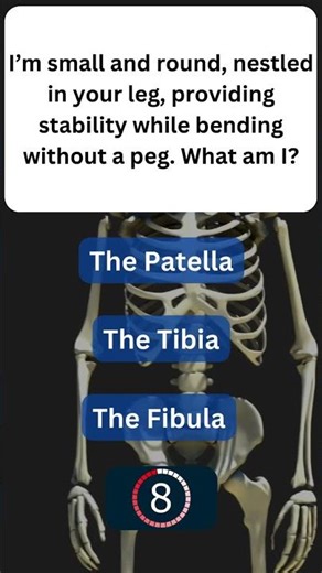 Fun Fact About Your Bones! 🦴 #SkeletalSystem 30