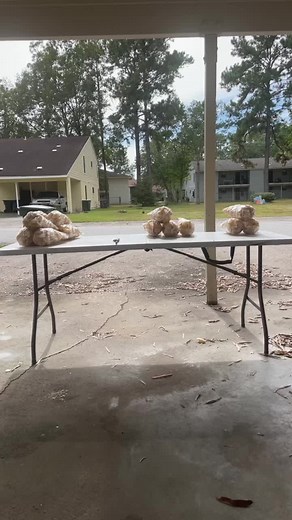 first come first ser (@firstcomefirstserved)’s videos with original sound - first come first ser