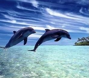 ニコラ・テスラ理論に沿った、新時代の大気発電が 日本で！