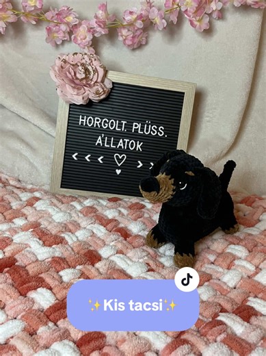 ✨Kis tacsi készült egyéni kérésre✨ Ig: horgolt.pluss.allatok #crochet #horgolás #dachshund #amigurumi #foryouu