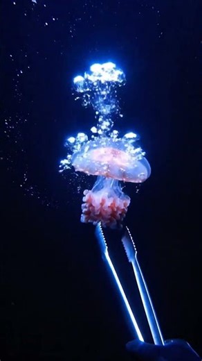 Challenge Style World's Smallest [Tool] vs. [Material] 💥