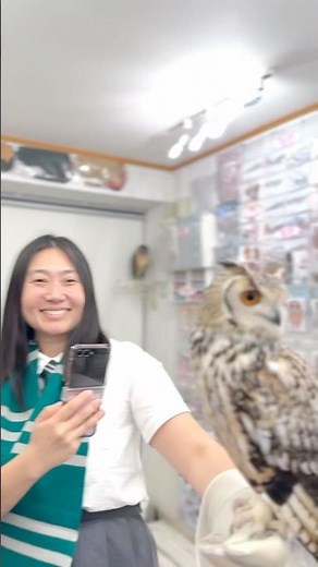 🦉🌈 Welcome to #owlcafe #tokyo #フクロウカフェ #フクロウ #秋葉原 #owl #japanmustgo #animalcafe