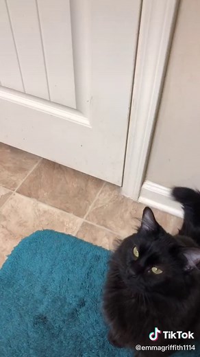 Emma Griffith on TikTok