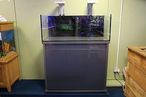 3K views · 36 reactions | D-D Reef-Pro 1200 unboxing and installation in just 3 minutes. (Complete with cheesy music) HD A little fun video thrown together during the unboxing of this new display tank at Maidenhead Aquatics Carlisle. The Anthracite Grey finish looks fantastic, come along and see it if you get a chance. We will be adding more videos as we fill the tank and turn it into a full reef. | D-D The Aquarium Solution | Facebook