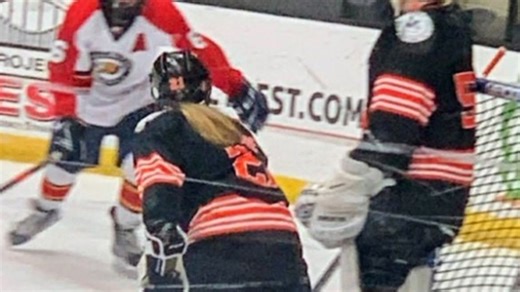 West Virginia hockey tournament showcases top student talent in Wheeling