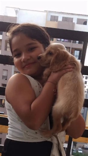 Dherya kandari ( PAHADAN ) on Instagram: "Always used to wonder- “ how could someone post a whole paragraph for their dogs”, until it’s my turn!!! . . I still remember the first day you came just 13 days old with the purest heart and cutest tail wags.❤️‍🩹 That day I got my bestfriend who grew up with me and was there with me the whole time! Life is not lifing without you hahha…. No more barking when I ring the doorbell so now I DONT FEEL LIKE COMING HOME ANYMORE No more fear of being bitten by 