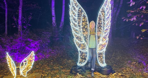 'Incredible' Christmas winter walk tucked away in a Surrey forest